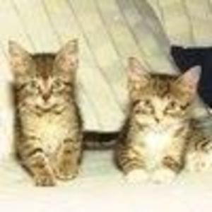 Meet your Posher, April